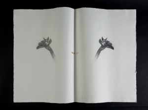 Omar Galliani, Un iris per Giorgio, matita nera su carta + anello d'oro, 78,5x107 cm